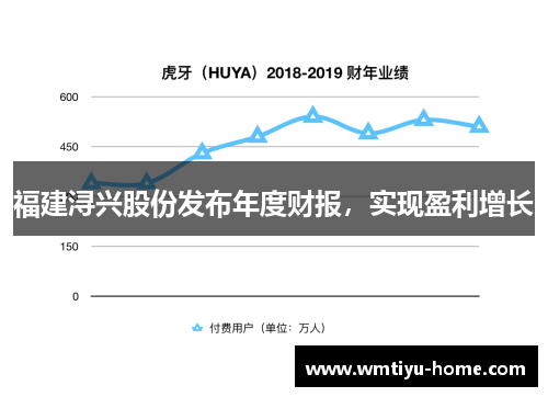 福建浔兴股份发布年度财报，实现盈利增长